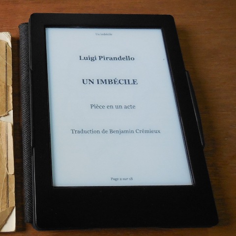 (Photo : Coumba Sylla)