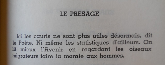 (Photo : Coumba Sylla)