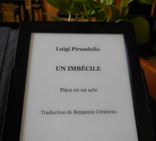 (Photo : Coumba Sylla)