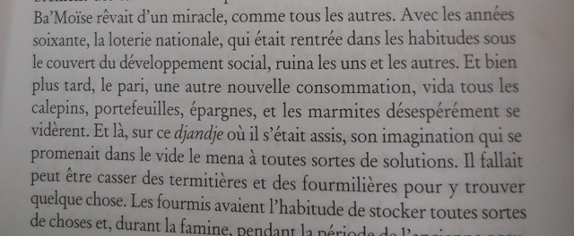 (Photo : Coumba Sylla)