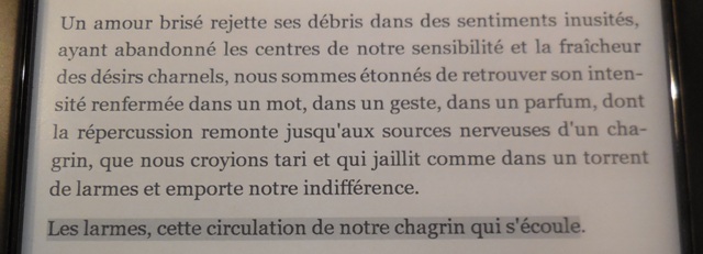 (Photo : Coumba Sylla)