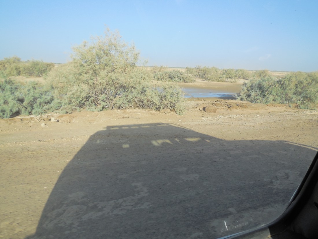 Les errances de Coumba logo