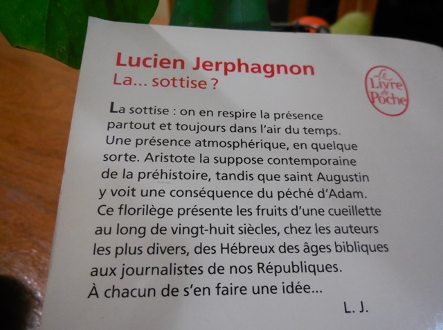 (Photo : Coumba Sylla)