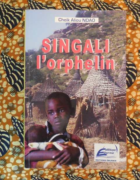 (Photo : Coumba Sylla)