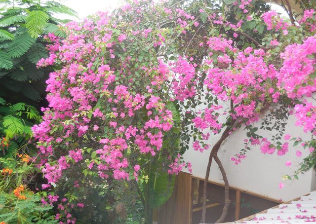 (Photo : Coumba Sylla)