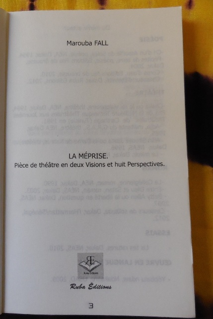 (Photo : Coumba Sylla)