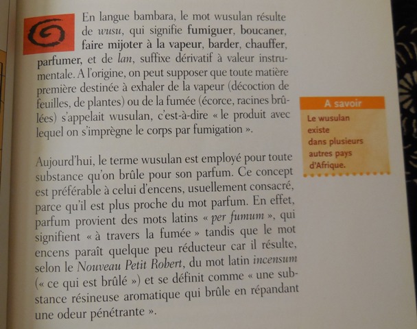 (Photo : Coumba Sylla)