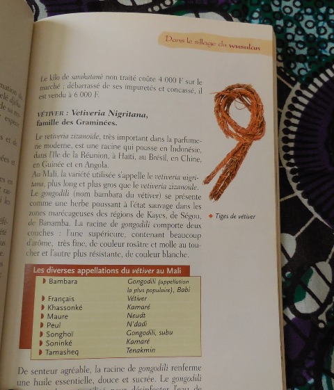 (Photo : Coumba Sylla)