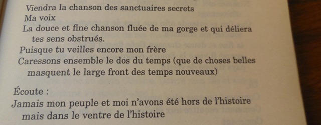 (Photo : Coumba Sylla)