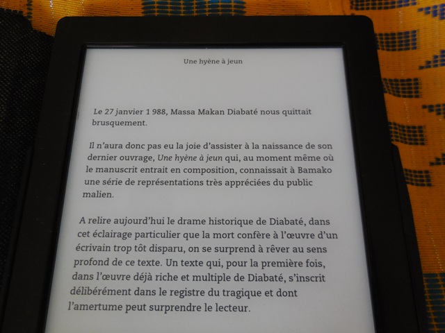 (Photo : Coumba Sylla)