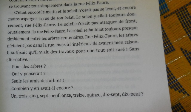 (Photo : Coumba Sylla)