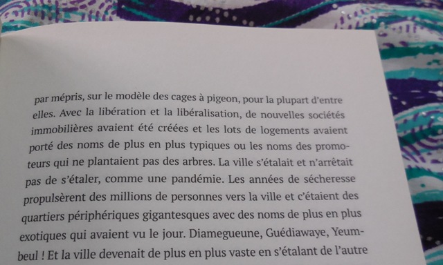 (Photo : Coumba Sylla)