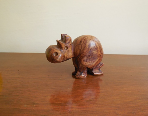 (Photo : Coumba Sylla)