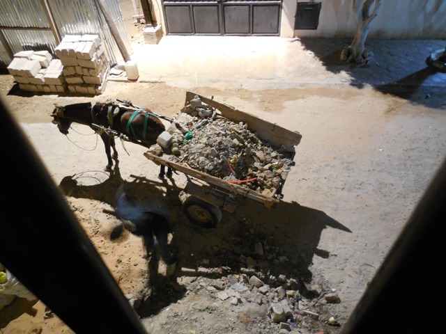 (Photo : Coumba Sylla)