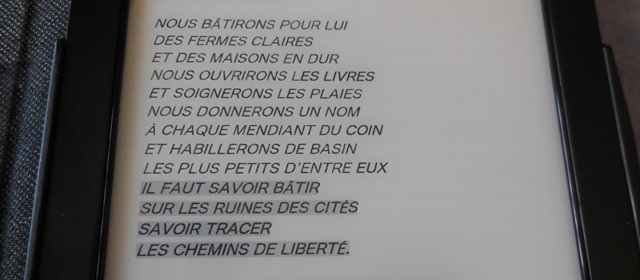 (Photo : Coumba Sylla)