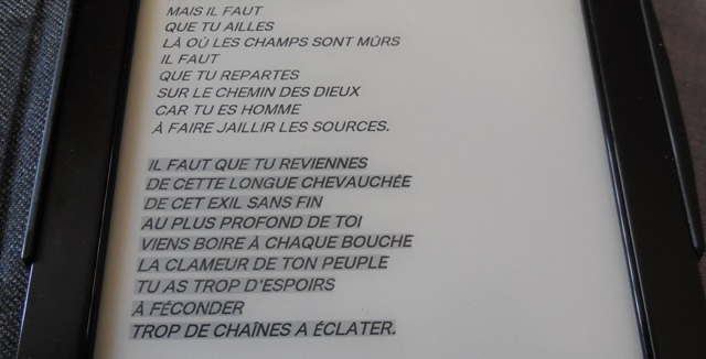 (Photo : Coumba Sylla)