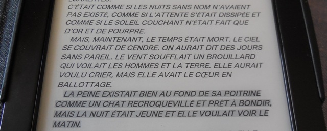 (Photo : Coumba Sylla)