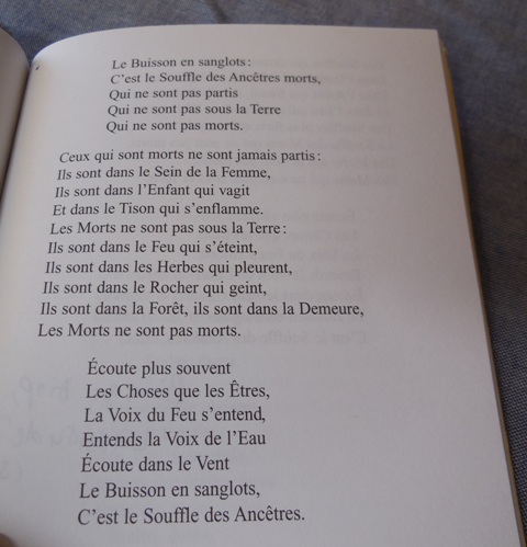 (Photo : Coumba Sylla)