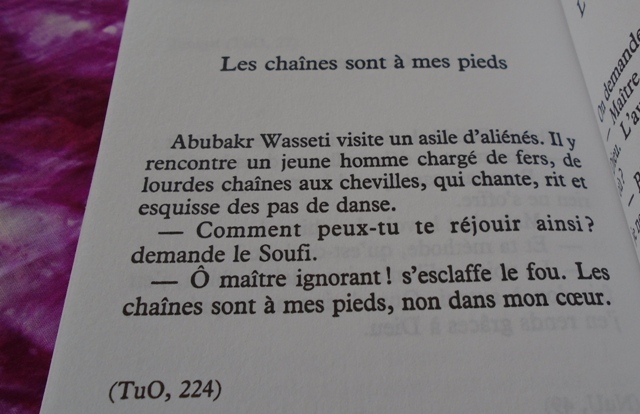 CS06092019-SaydBahodineMajrouh-009