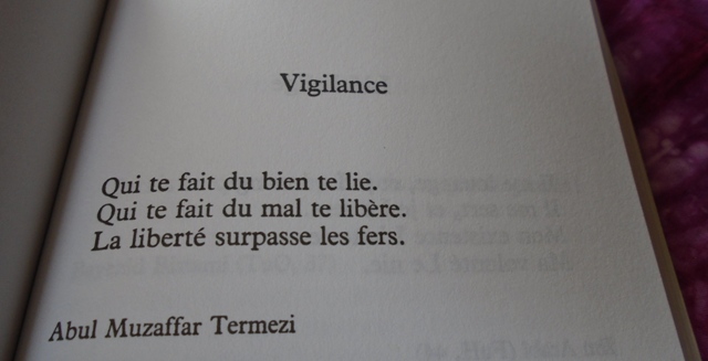 (Photo : Coumba Sylla)