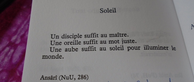 (Photo : Coumba Sylla)