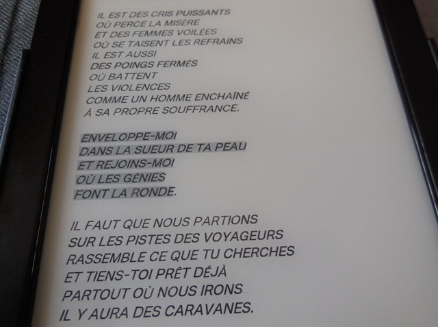 (Photo : Coumba Sylla)