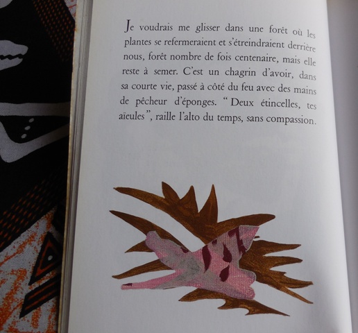 (Photo : Coumba Sylla)