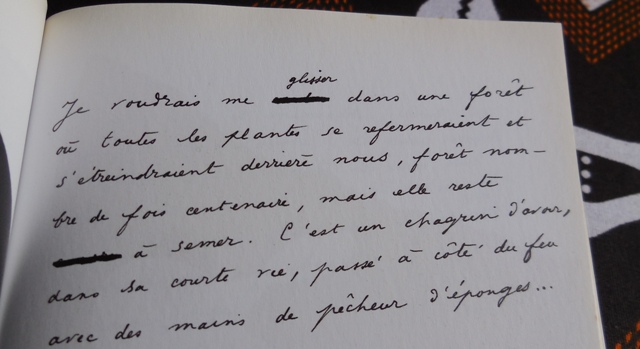 (Photo : Coumba Sylla)