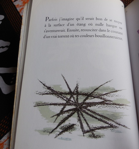 (Photo : Coumba Sylla)