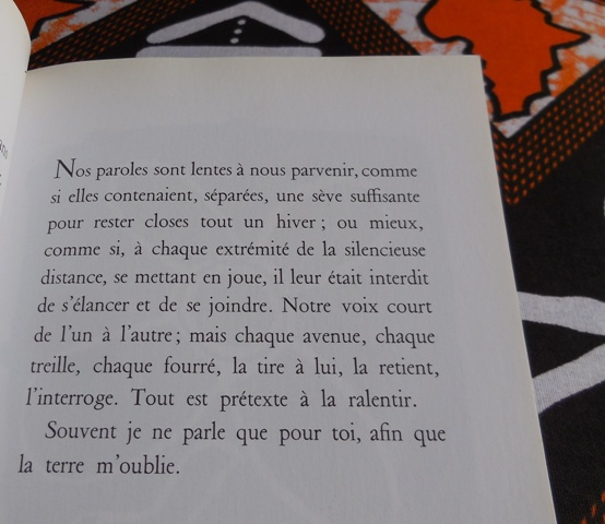 (Photo : Coumba Sylla)