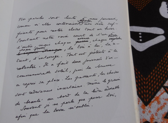 (Photo : Coumba Sylla)