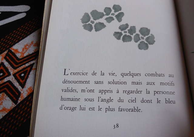 (Photo : Coumba Sylla)