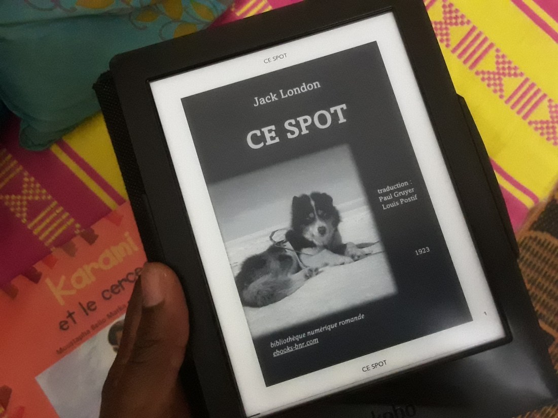 (Photo : Coumba Sylla)