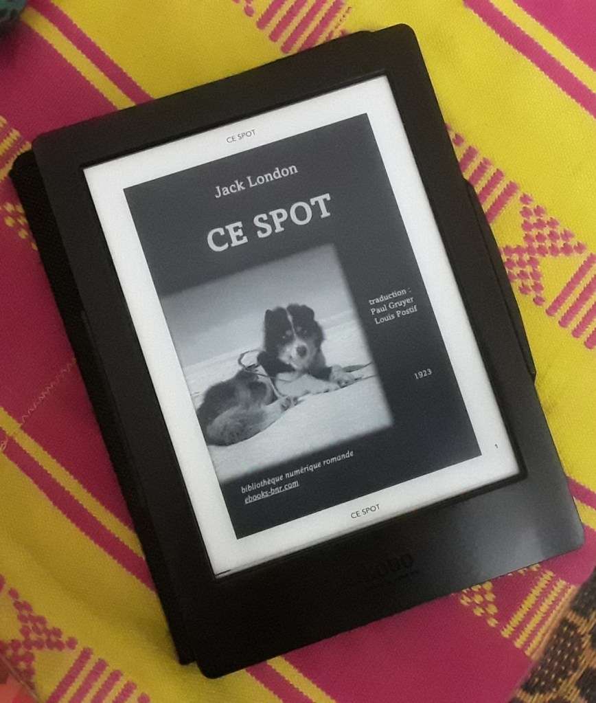 (Photo : Coumba Sylla)